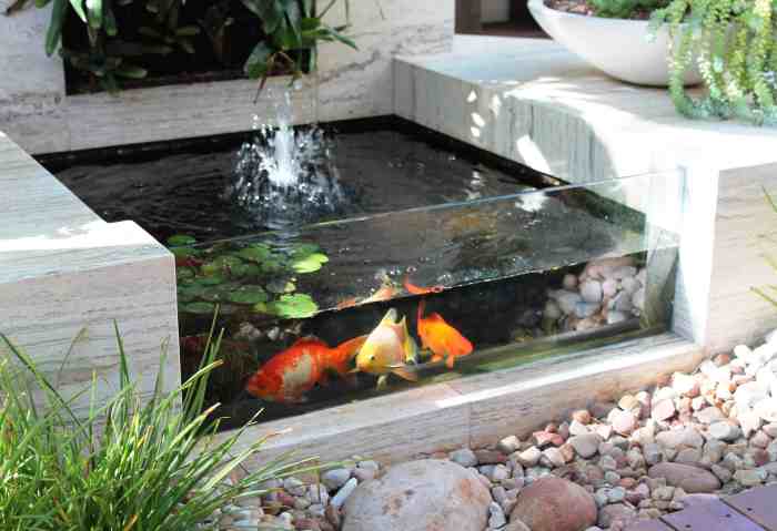 Pond ponds fish landscaping yard