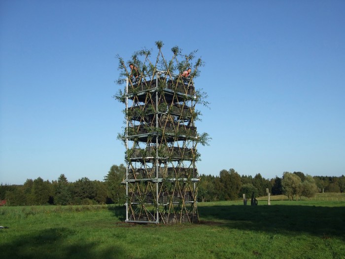 Baum im wohnzimmer bauen